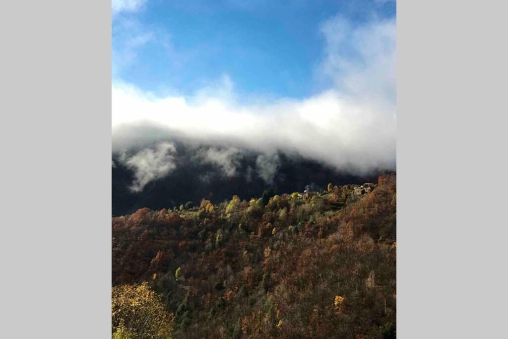 فيلا La Pellegrine, Parc National Des Cevennes Le Salson المظهر الخارجي الصورة